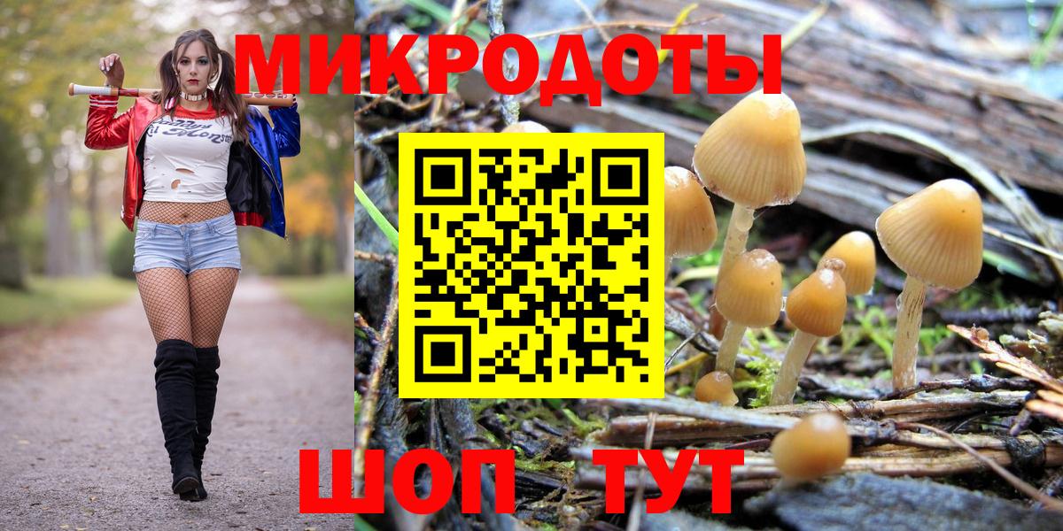 сколько стоит  Галлюциногенные грибы Psilocybe  Ефремов  Вход с VPN  Галлюциногенные грибы мицелий 